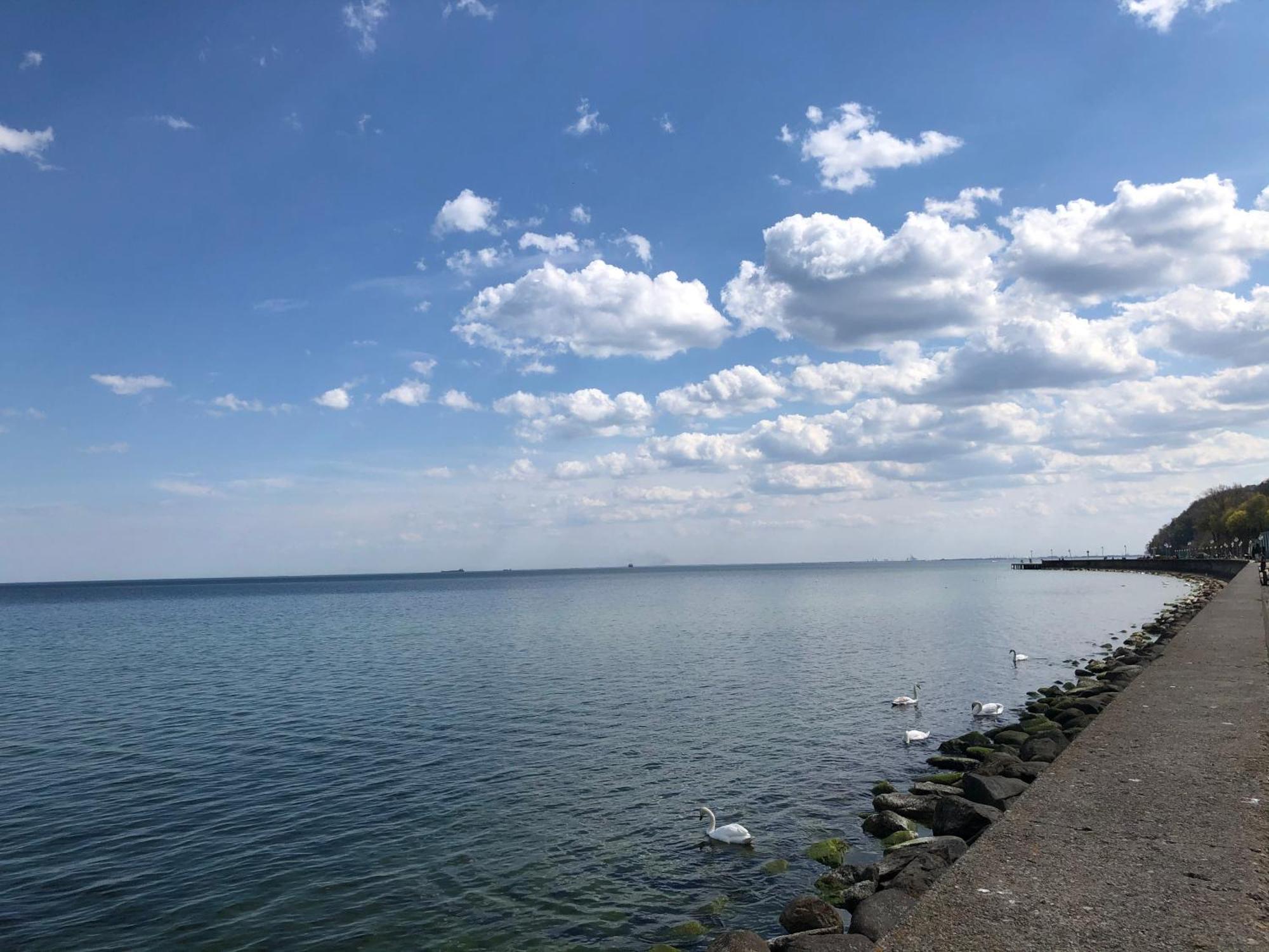 Gdynia Kamienna Gora 아파트 외부 사진